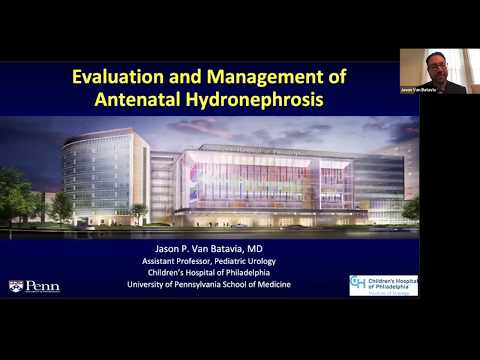 Antenatal Hydronephrosis - EMPIRE Urology Lecture Series