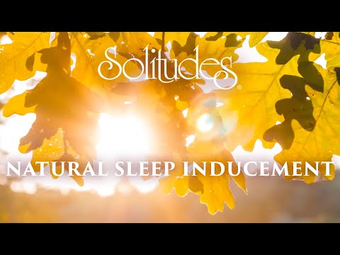 Dan Gibson’s Solitudes - Celestial Glow | Natural Sleep Inducement