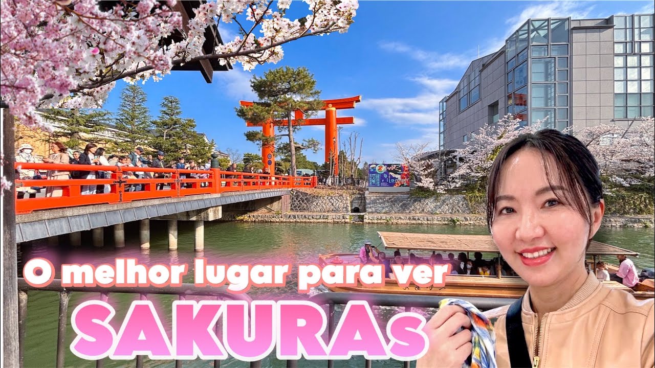 Cerejeiras em Kyoto Japão 