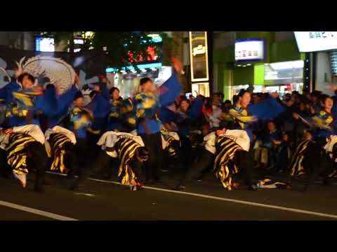 商学科 小樽商科大学”翔楽舞” 2019 四獣奏 FUNKYすすきの会場