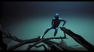 😱🤯 MERGULHO MAIS INCRÍVEL  do MUNDO em APNEIA!!!🧜‍♂️🐳 ATÉ O FUNDO DO MAR