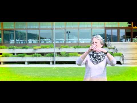 Mein Herz schlägt Linz by Andie Gabauer