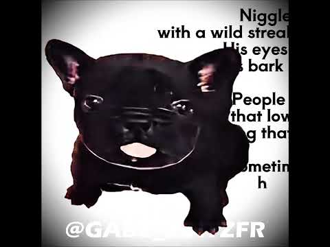 「 Niggle 🥷 」- ÚLTIMO SUSPIRO - Niggle (Black Pibble)