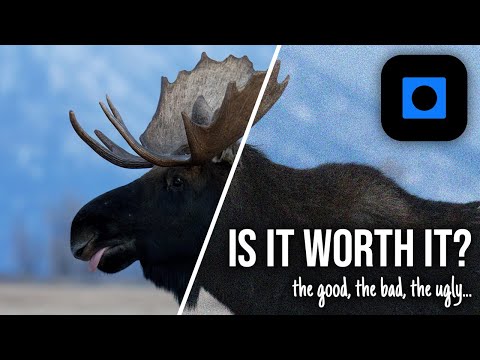 Topaz Photo AI in 2025: Is It Still Good?