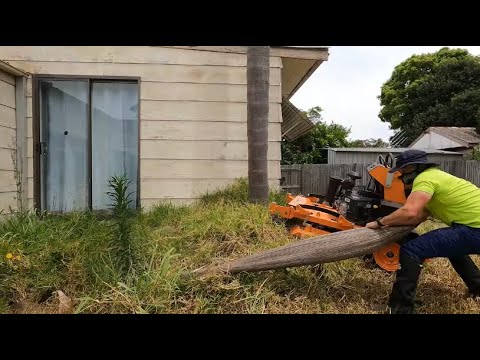 Crazy Guy SEEKS OUT Crazy Yards To Makeover FOR FUN!
