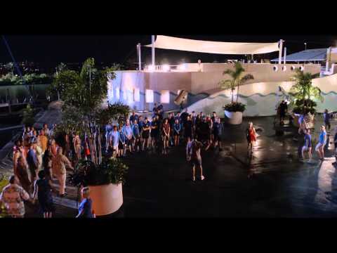 Dolphin Tale 2 "True Story"