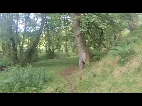 Magical Horse Drawn Bow Top Caravan get away, back to basics 💚🤗🙂🌳