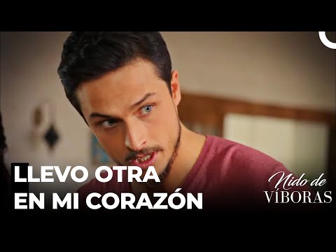 Bereket Quiere Que Ejder Se Case - Nido De Víboras Capitulo 1