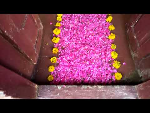 A grand welcome for a Great Grandson in my family. Homecoming. Baby boy.  No Gender discrimination.