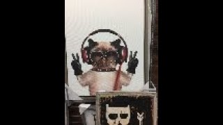 Download lagu Classic Disco Volume 2 mp3