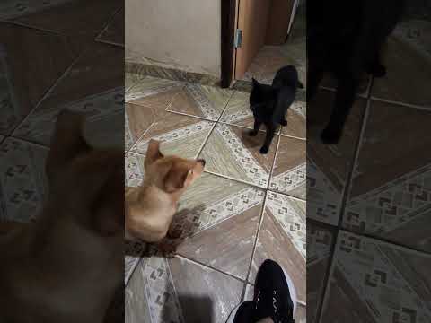 Santana do Garambéu ❤️❤️💖