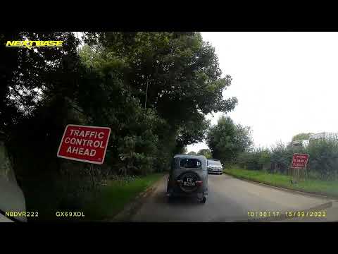 Swallow on an early outing