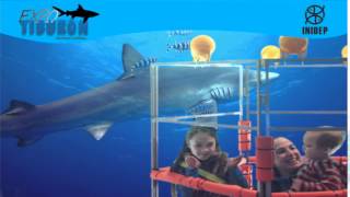 DIA 3 Expo Tiburon116