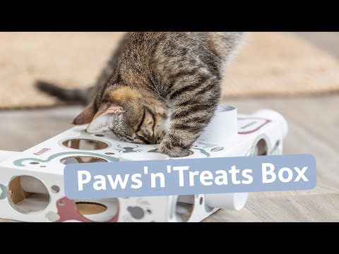 Trixie Cat Activity Paws'n'Treats Box voerspeelgoed