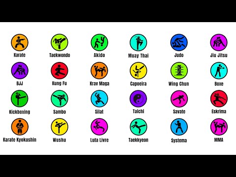 Explicando Principais Artes Marciais em 12 minutos, explicação sem complicação