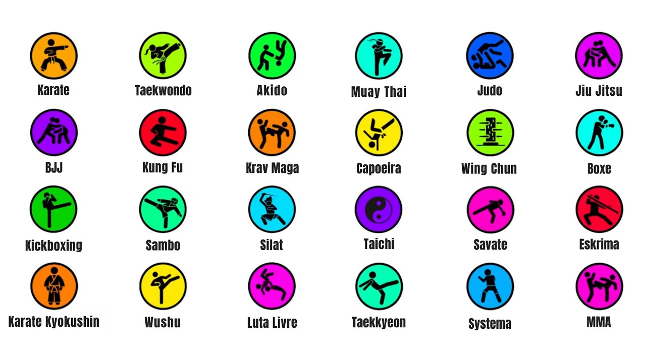 Explicando Principais Artes Marciais em 12 minutos, explicação sem complicação