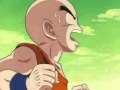 TFS Bulma S A Bitch