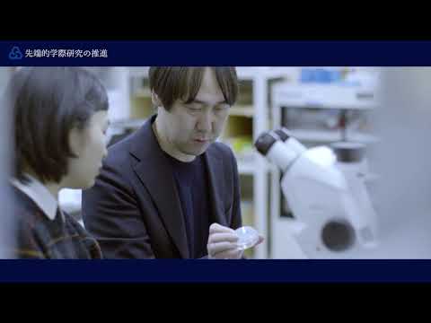 学際科学フロンティア研究所「先端的学際研究の推進」