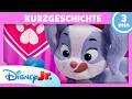 Ein Wautastischer Geburtstag Minnie Toons Das Haustier Hotel Kurzgeschichten