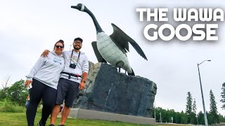 A GIANT GOOSE and The Birthplace of WINNIE THE POOH | Cross Canada Van Life Road Trip | Ontario