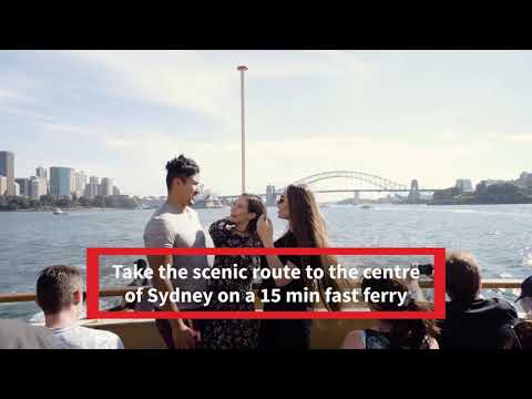 A day at Manly Beach