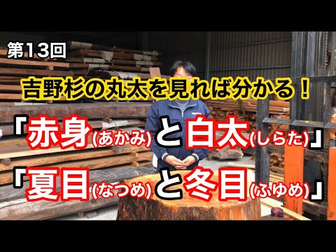 サニジンについて詳しく解説