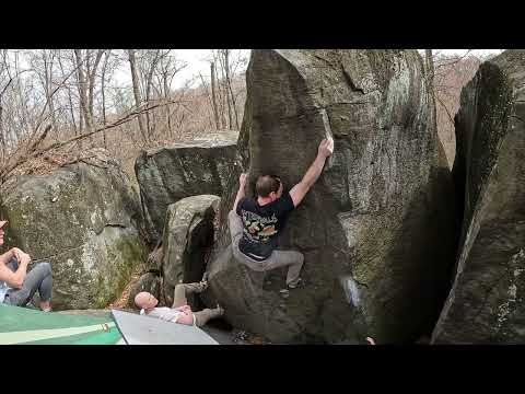 Governor Stable - Cobra V5 - Tristan Gardner