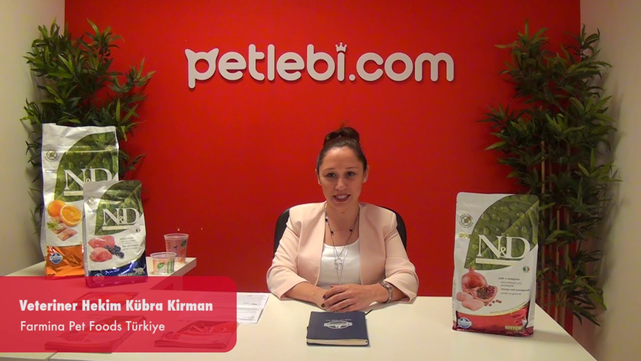 N&D Prime Tavuklu ve Narlı Tahılsız Yavru Kedi Maması 10kg tanıtım video görseli