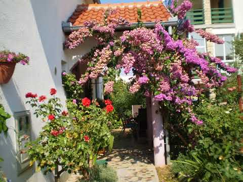 Apartments Nada - Bibinje - Croatia