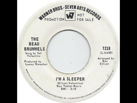 The Beau Brummels "Long Walking Down to Misery" promo mono 45 vinyl