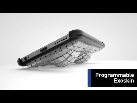 Welcome To The World Of Shapeshifting