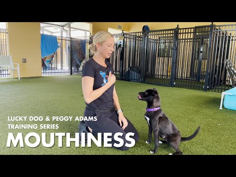 Lucky Dog x Peggy Adams Training Series: Mouthiness
