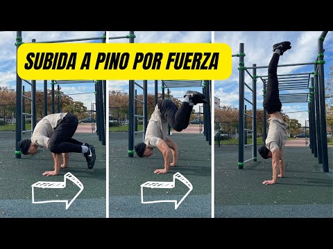 TUTORIAL FOR CLIMBING A PINE TREE BY FORCE | Isma Trainer