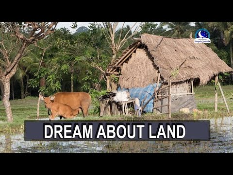 BIBLICAL MEANING OF LAND IN A DREAM - Evangelist Joshua Dream Dictionary