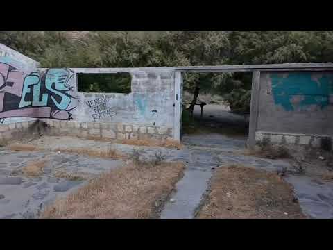 Vuelo en estancia municipal pico truncado santa cruz 