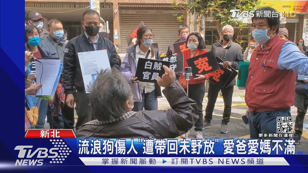 流浪狗傷人「遭帶回未野放」　愛爸愛媽不滿
