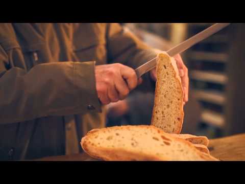 ZDRAVICA - Oktet TEŠ