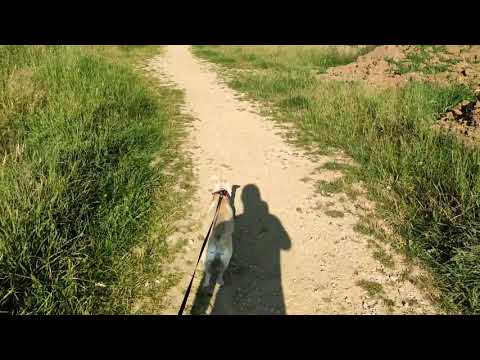 Xiaomi Pocophone f2 pro 4k video & Slow-motion