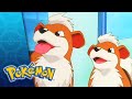 The Case Of The K 9 Caper POKÉMON FULL EPISODE 49 Season 1