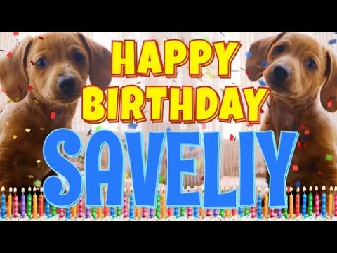 Funny Happy Birthday Saveliy Song Epic Talking Dogs What Is Free On My Birthday