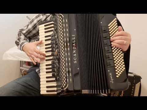 To ludo srce moje ( cover ) Davor Horvat,  Škola harmonike