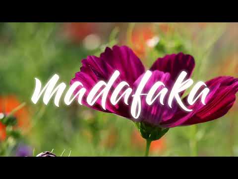 DELBOR - ( NP HEAVEN x AYLEE )