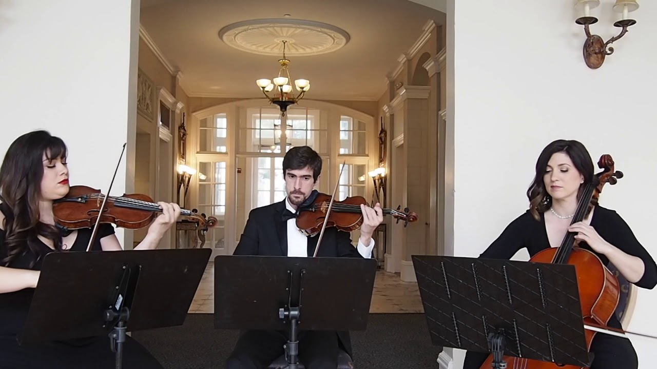 Promotional video thumbnail 1 for Ariana Strings: Classical Wedding Music Ensembles