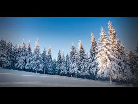 · ENEUNO ·  ERRORES, FRACASOS Y DESPEDIDAS · NORTH KILLERS