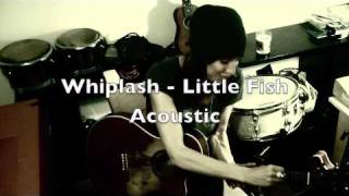 Whiplash - Little Fish (Acoustic)