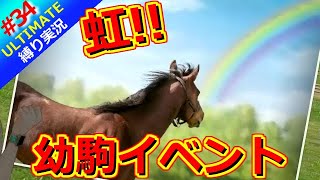 【ウイポ10 2025】＃34 世界100傑馬ランクイン！幼駒イベント虹！縛りプレイ！史実馬所有なし！引き継ぎなし！難易度ULTIMATE！1981年5月3週～【ウイニングポスト10 2025】