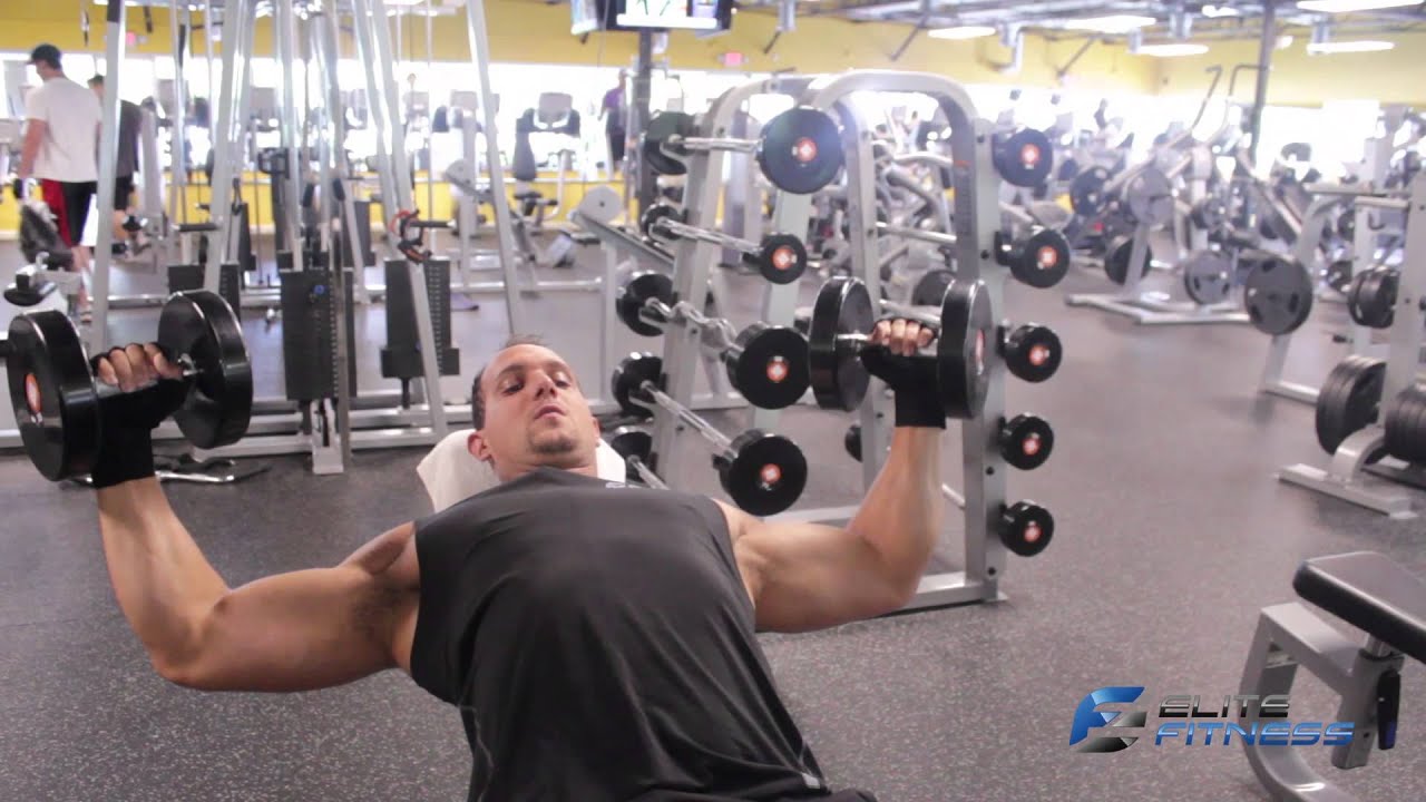 Proper Chest Workout with Elite Fitness Trainer Adrian