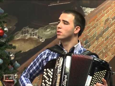 Paja Srdanac i sinovi visegrade grade