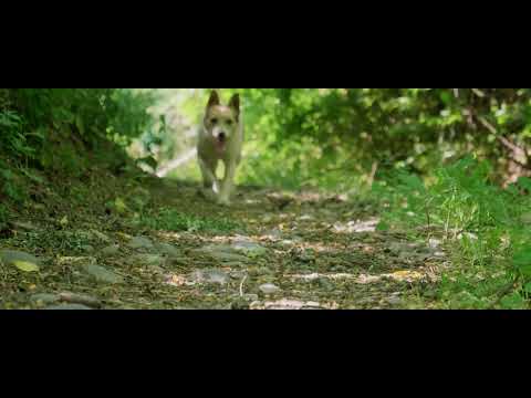 Eztán  - Jó estét (km. Szokolay "Dongó" Balázs)