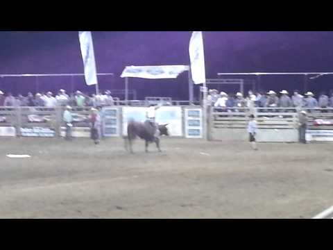 St Lucie fair Clay McIntyre